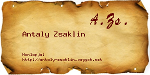 Antaly Zsaklin névjegykártya